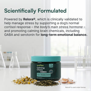 Container of calming chews with chamomile, loose herbs, and eggshells on lab surface