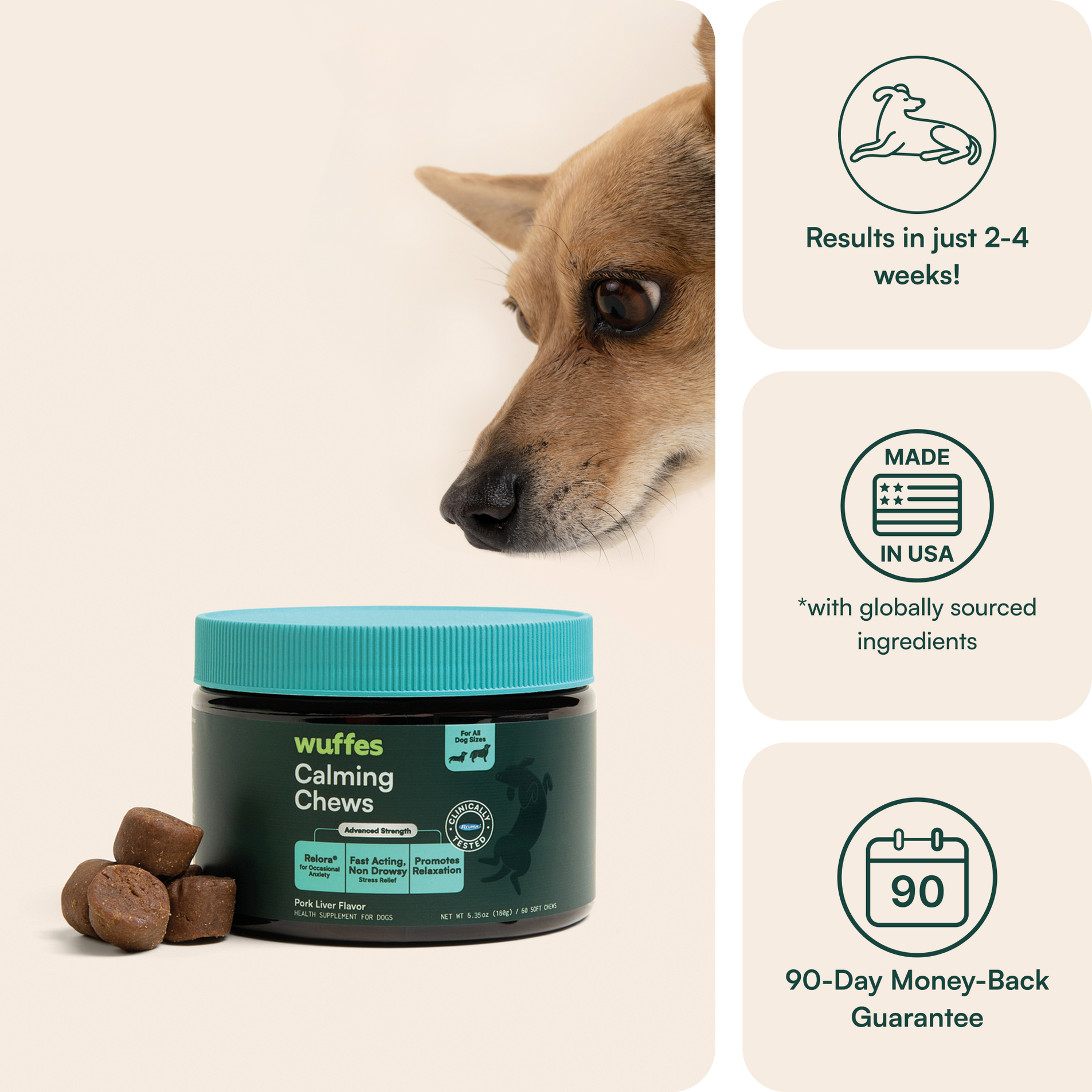 Dog sniffing near jar of calming chews with icons showing benefits and guarantees.
