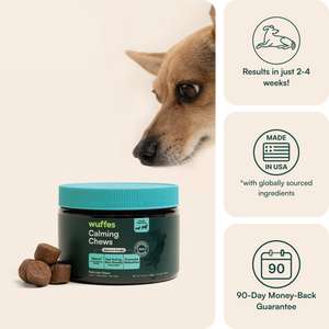 Dog sniffing near jar of calming chews with icons showing benefits and guarantees.