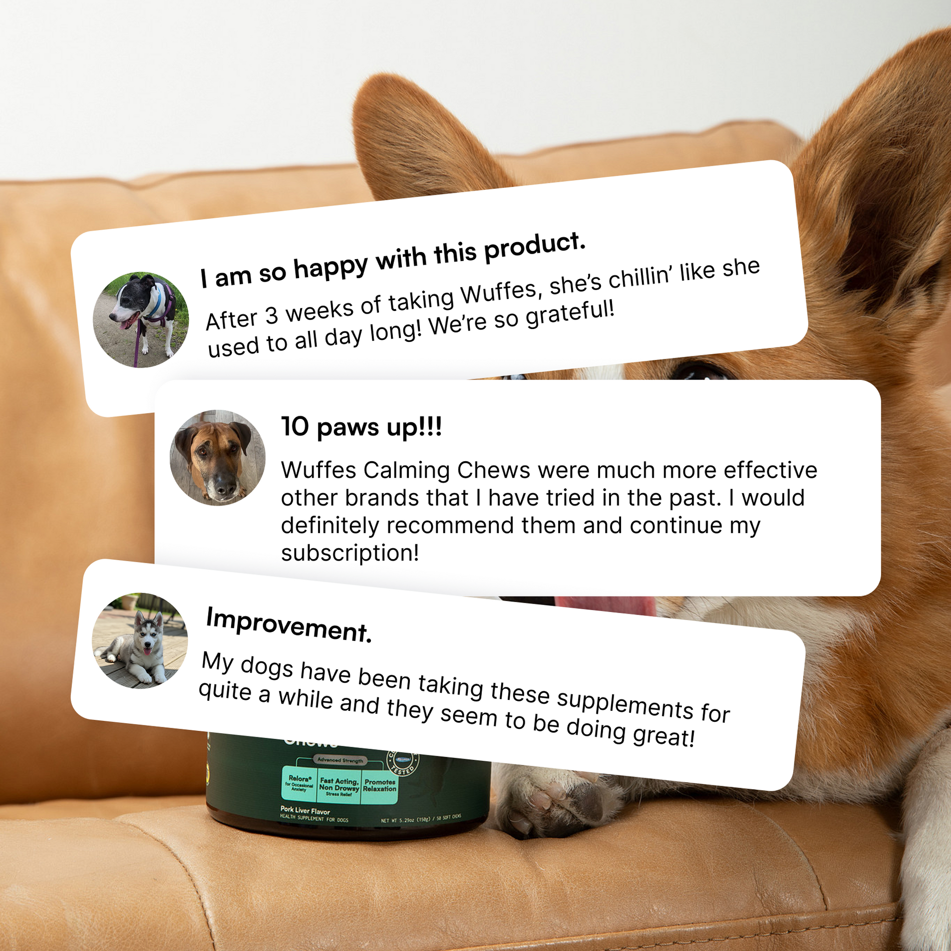 Three dog testimonials over a brown dog lying on a tan leather sofa with a green supplement container.
