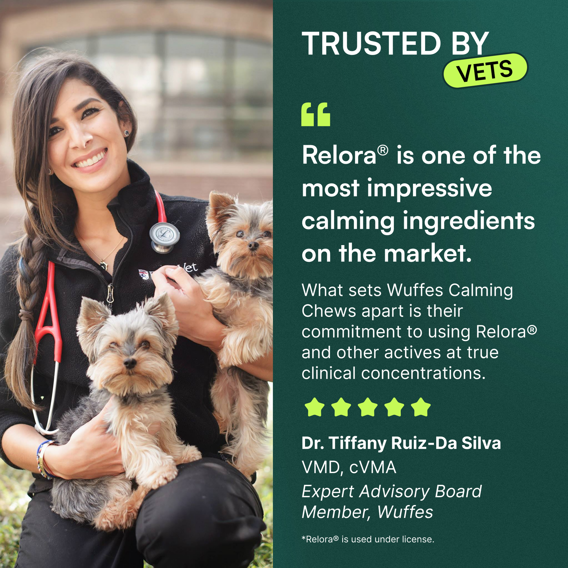 Veterinarian holding two small dogs beside text praising calming ingredient Relora® in Wuffes chews