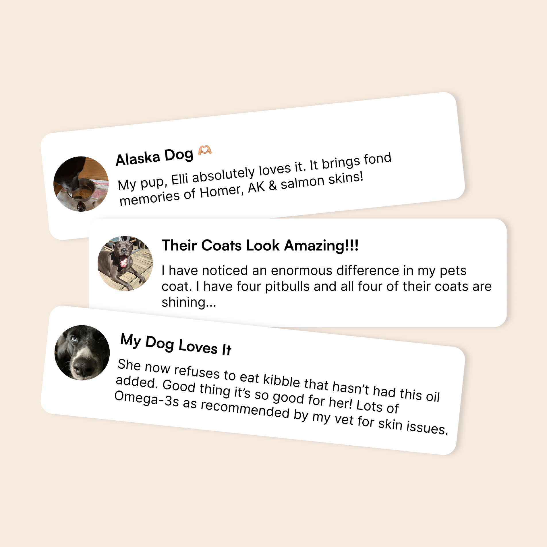 User testimonials about dog supplements improving coat shine, skin health, and enjoyment of salmon skins