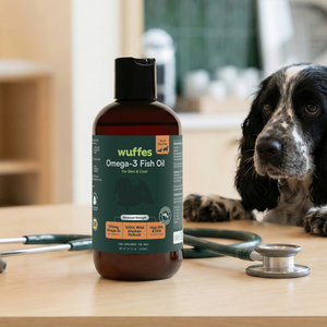Bottle of omega-3 fish oil for dogs next to a black and white dog and a stethoscope