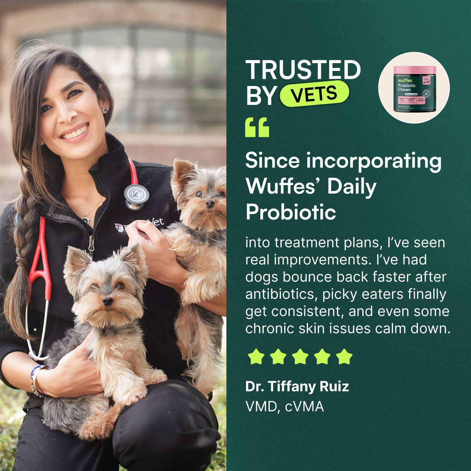 Probiotic Chews + Omega 3 Fish Oil 16oz