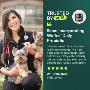 Probiotic Chews + Omega 3 Fish Oil 16oz