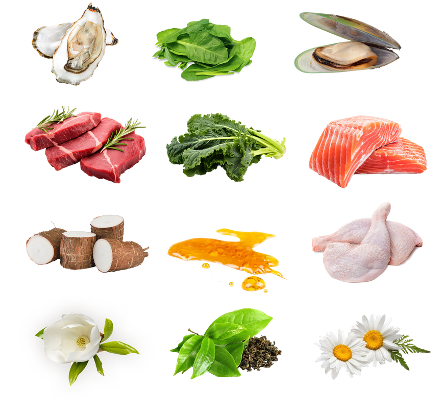 Fresh raw ingredients including meats, seafood, leafy greens, herbs, and flowers arranged in a grid