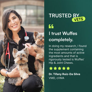 Veterinarian holding two small dogs beside testimonial text about Wuffes hip and joint chews