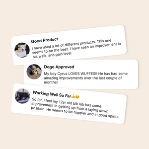 Three customer review cards with photos praising a dog joint health supplement's effectiveness.