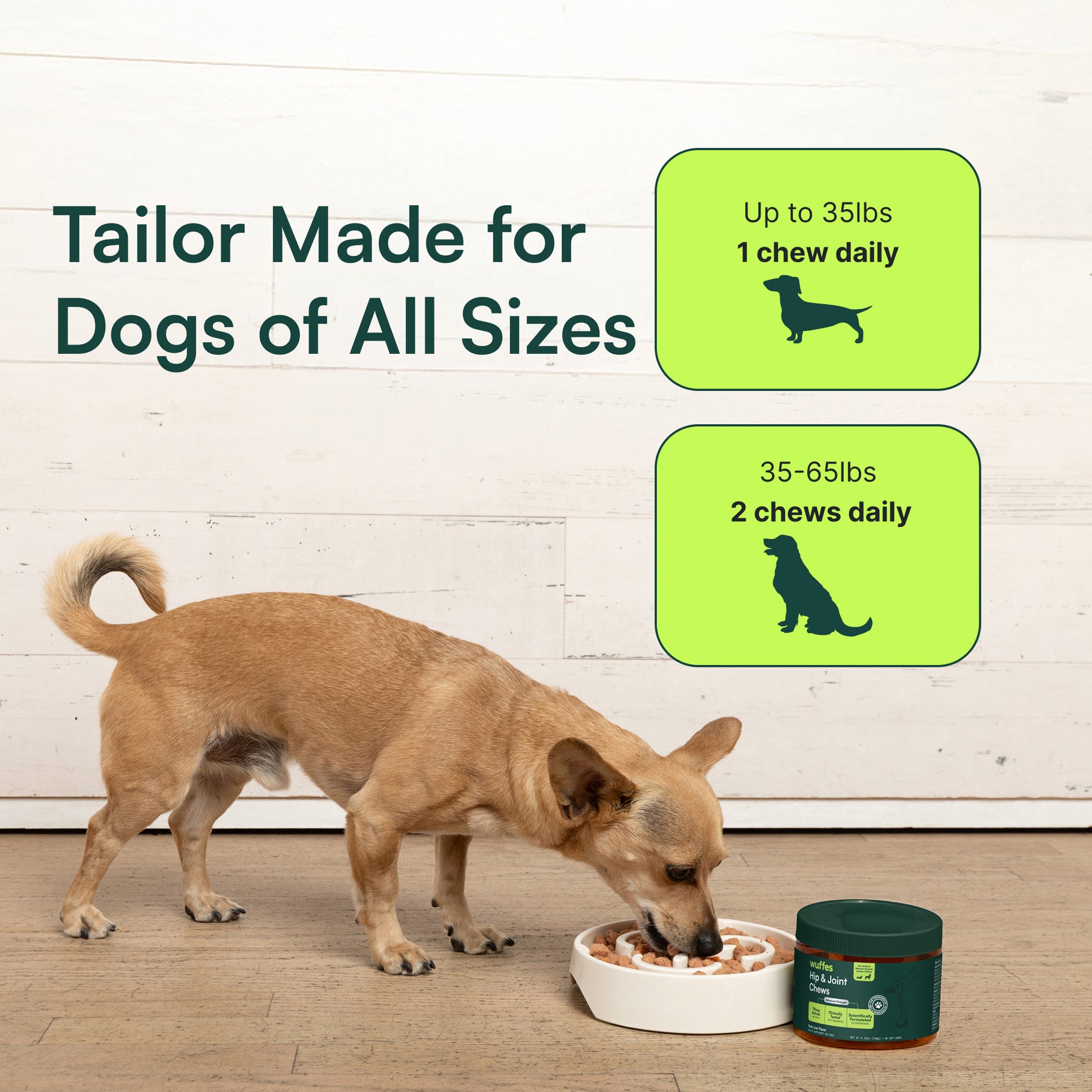 Small dog eating from a bowl beside a supplement container with dosage instructions for dogs