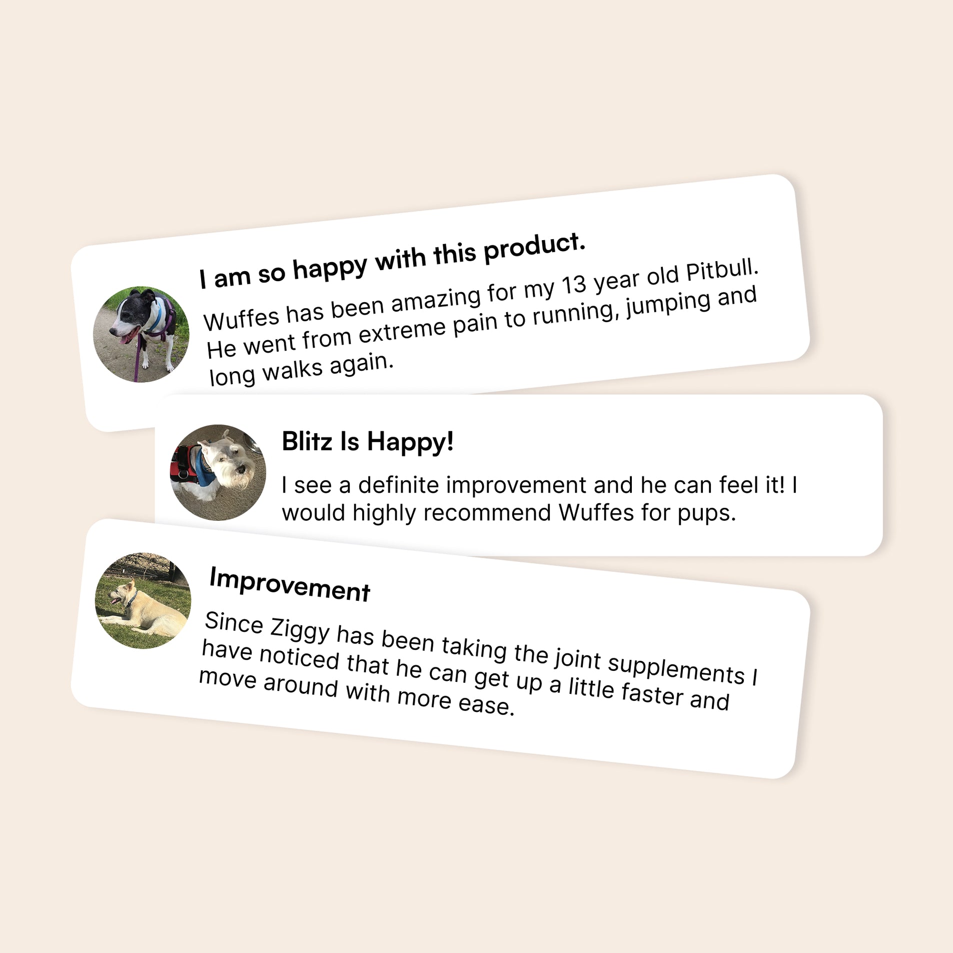 Three dog owner testimonials praising joint supplements with photos of their dogs included
