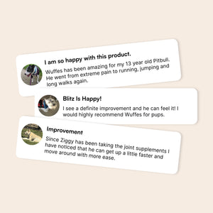 Three dog owner testimonials praising joint supplements with photos of their dogs included
