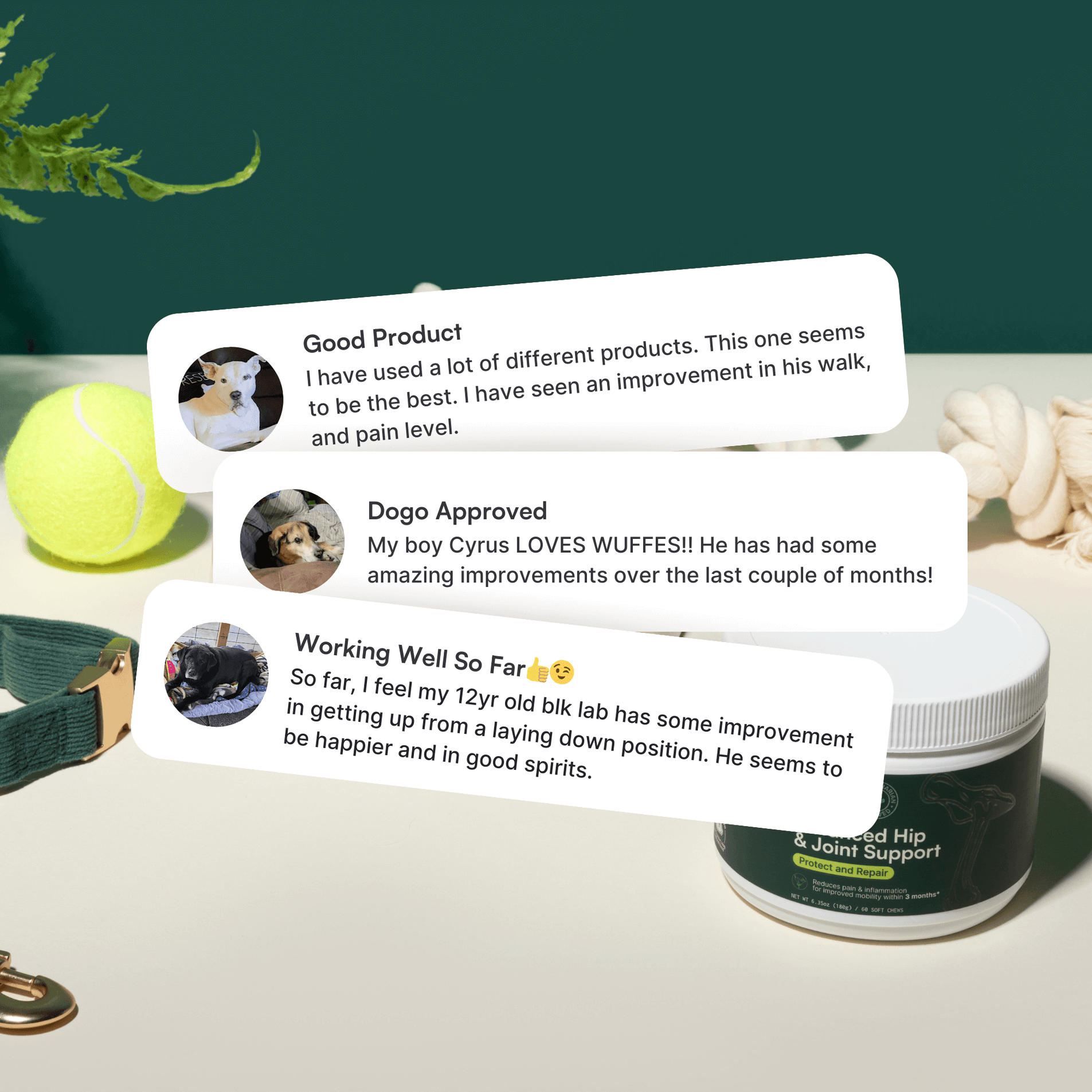 Three customer testimonials for Wuffes Advanced Hip & Joint Support. The reviews highlight improvements in dogs' mobility and overall health. In the background, there is a tennis ball, a dog leash, a rope toy, and a container of Wuffes Advanced Hip & Joint Support.