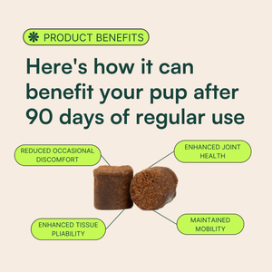 Image showing the benefits of a dog supplement after 90 days of regular use. The headline reads, 'Here's how it can benefit your pup after 90 days of regular use.' Four benefits are displayed around the central image of two chews: 'Reduced Occasional Discomfort,' 'Enhanced Joint Health,' 'Enhanced Tissue Pliability,' and 'Maintained Mobility.' The 'Product Benefits' section is highlighted with a green icon at the top.