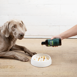 Dog lying on floor near owner pouring liquid supplement into a slow feeder bowl