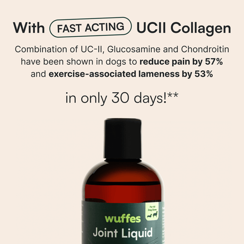 Bottle of Wuffes Joint Liquid supplement with text highlighting fast-acting UCII collagen benefits for dogs