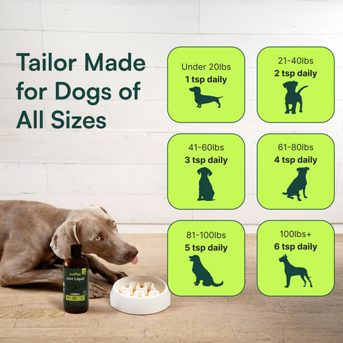 Feeding guide chart showing daily dosage for dogs of different weight ranges in teaspoons