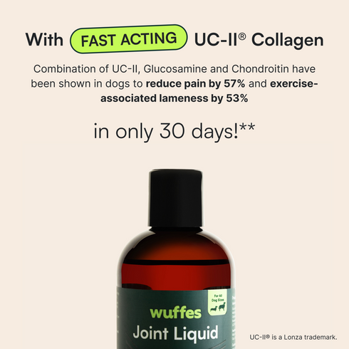 Joint Liquid 16oz