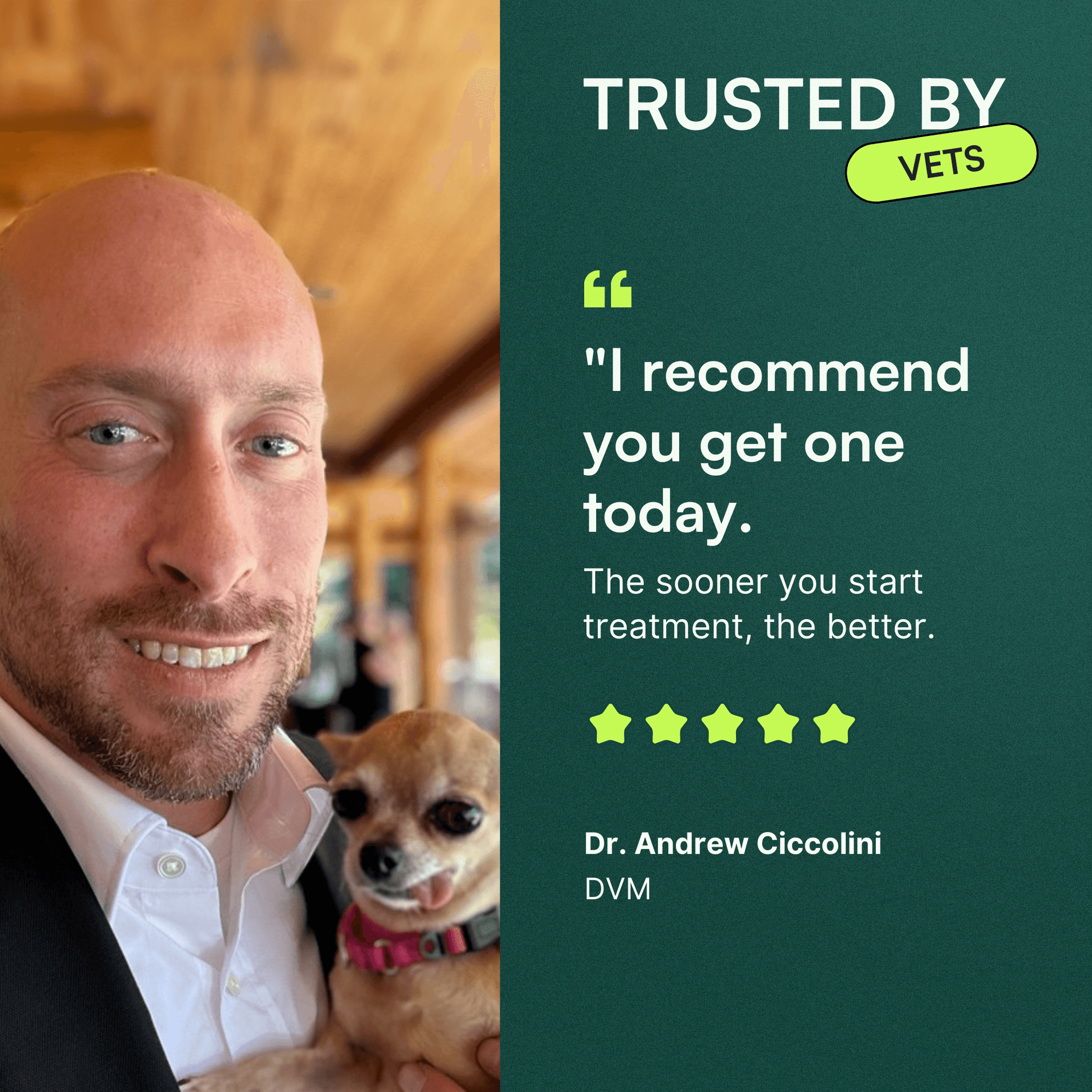 Dr. Andrew Ciccolini, DVM, smiling and holding a small dog. The text on the right reads 'TRUSTED BY VETS' with a badge, and a quote saying, 'I recommend you get one today. The sooner you start treatment, the better.' Below the quote is a 5-star rating and Dr. Andrew Ciccolini's credentials: 'DVM.'