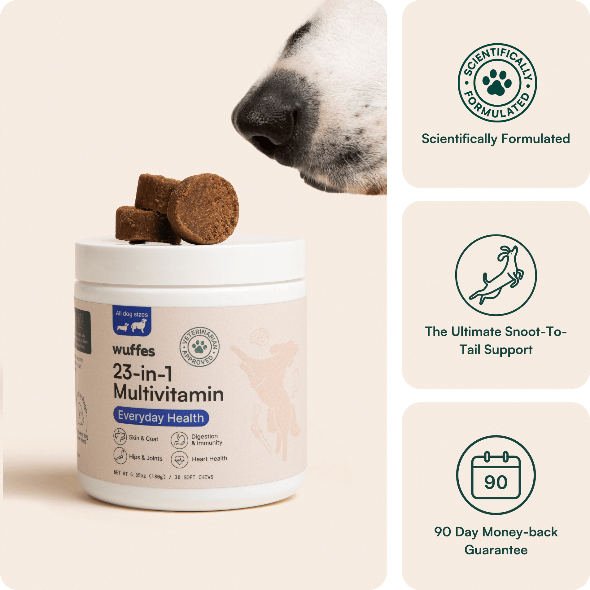 23 in 1 Multivitamin