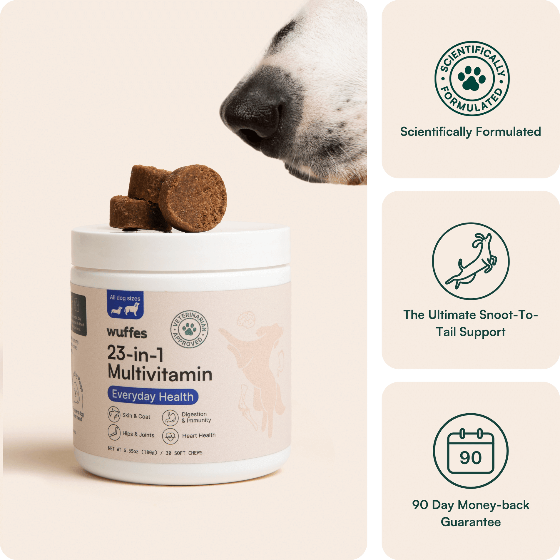 Pet multivitamin best sale