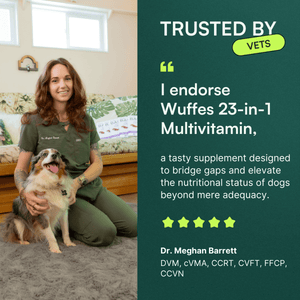 Graphic featuring a veterinarian and her dog. The left side shows Dr. Meghan Barrett, DVM, sitting on the floor with her dog. The right side has text that reads 'TRUSTED BY VETS' with a badge, and a quote saying, 'I endorse Wuffes 23-in-1 Multivitamin, a tasty supplement designed to bridge gaps and elevate the nutritional status of dogs beyond mere adequacy.' Below the quote is a 5-star rating and Dr. Meghan Barrett's credentials: 'DVM, cVMA, CCRT, CVFT, FFCP, CCVN.