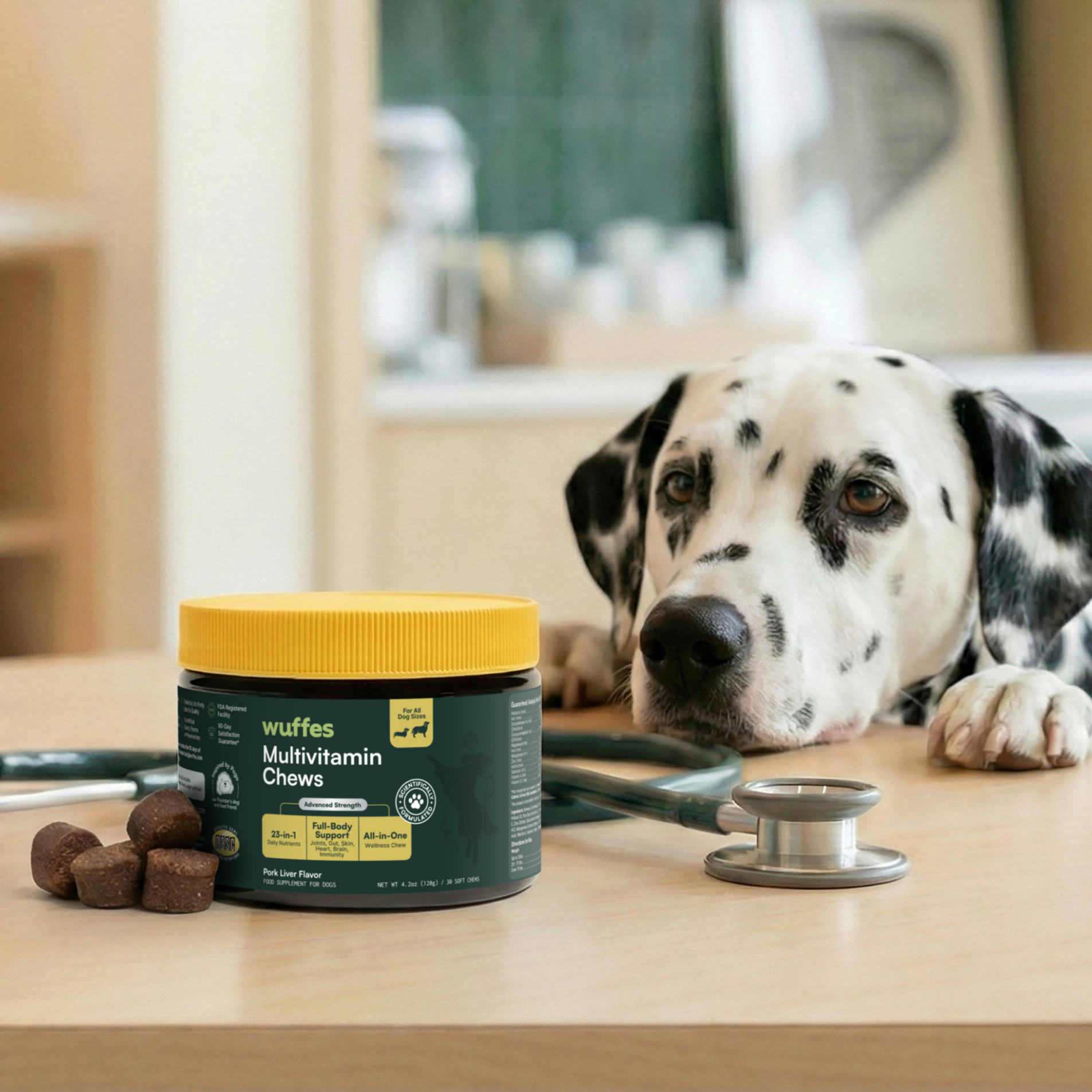 Dalmatian dog resting head on table near multivitamin chews jar and stethoscope in home setting