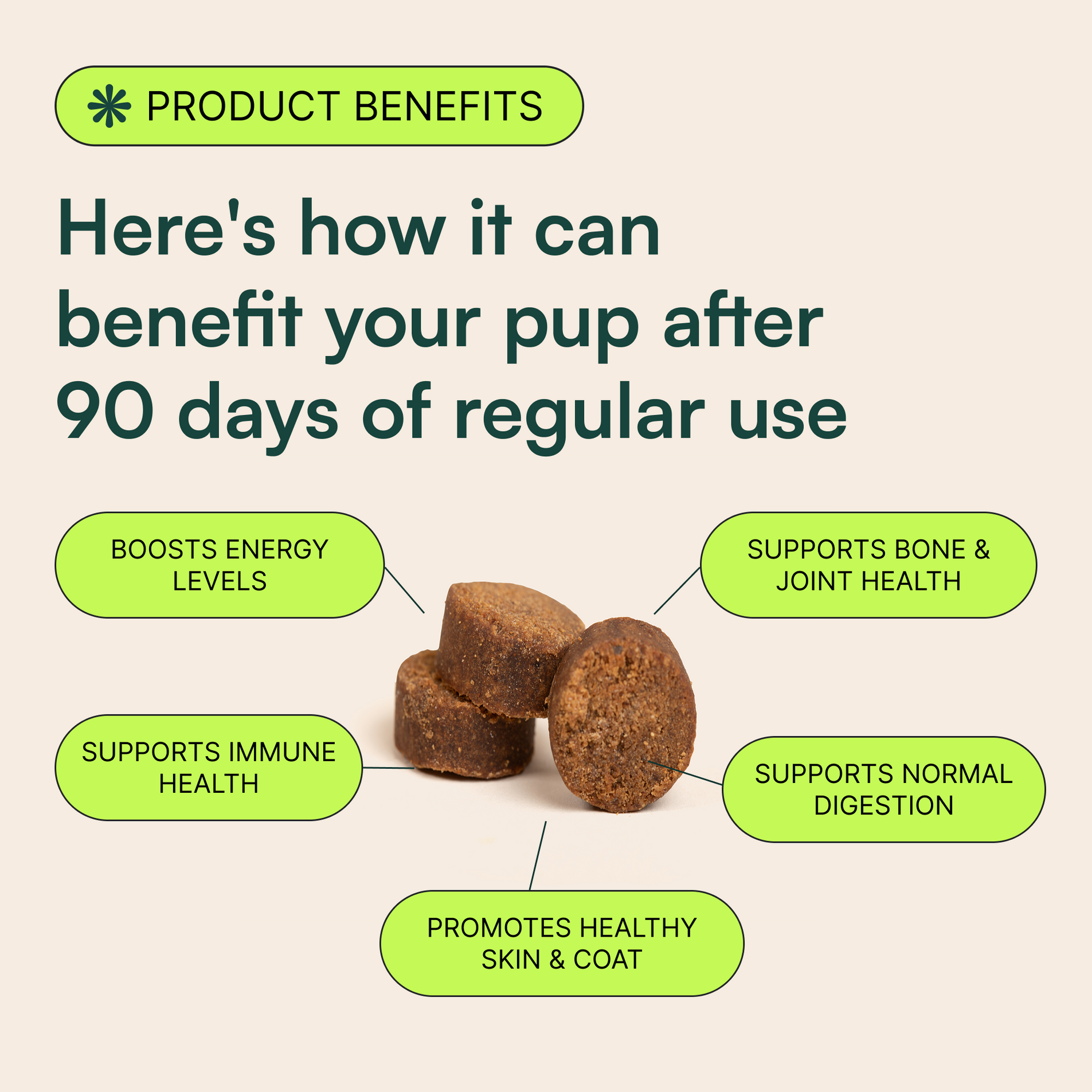 Dog supplement chews with benefits like boosting energy, digestion, immunity, and joint health.