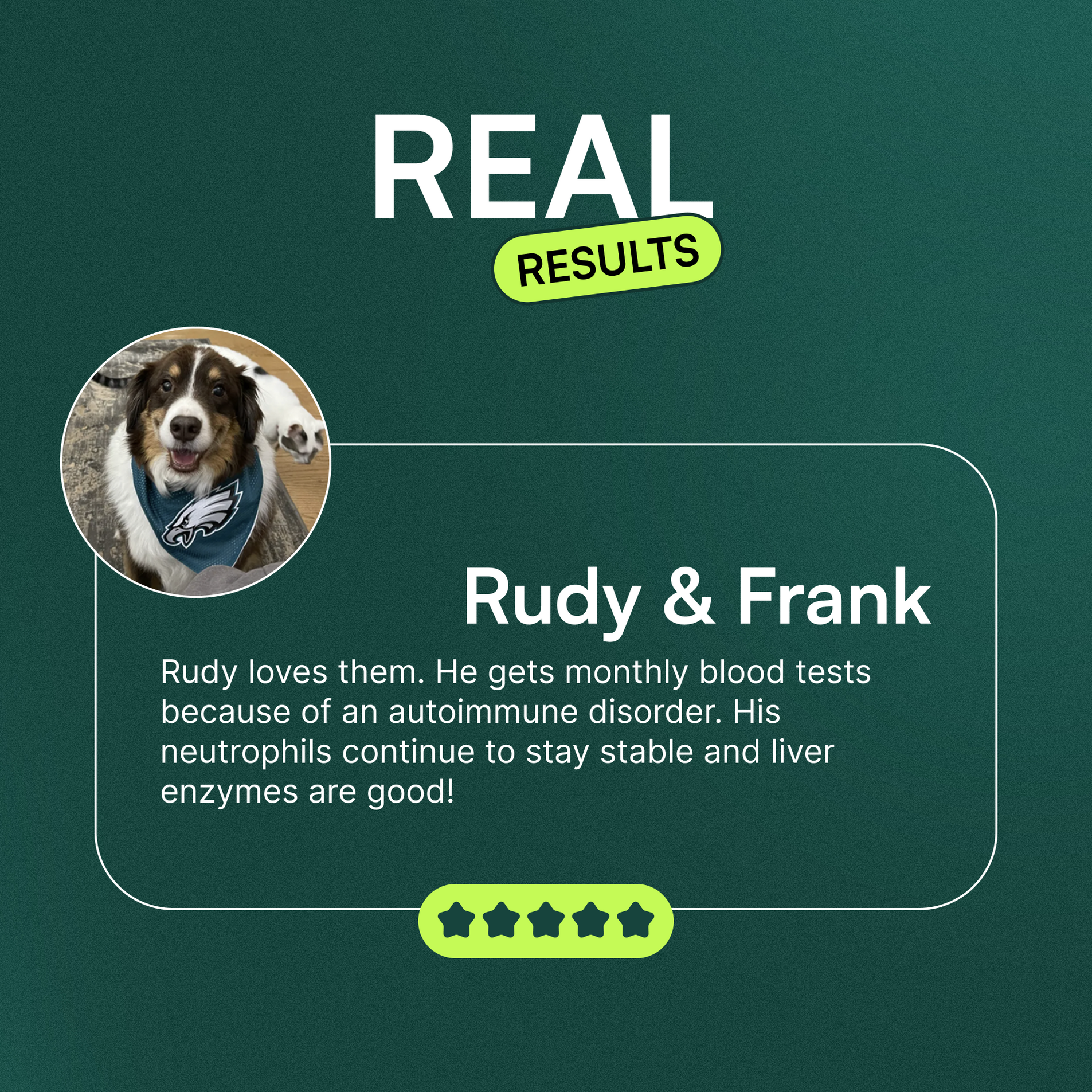 Testimonial card with a dog photo and positive health results from supplements displayed clearly