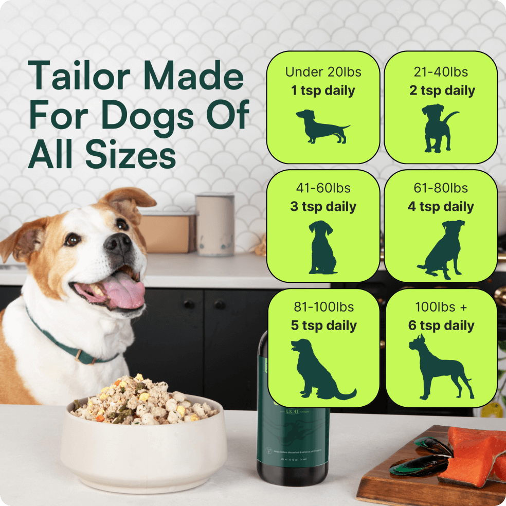 A promotional graphic for Wuffes Advanced Joint Liquid with the text 'Tailor Made For Dogs Of All Sizes.' The image shows a happy dog sitting in a kitchen next to a bowl of food and a bottle of the product. To the right, there are dosage recommendations for different dog weights: Under 20lbs - 1 tsp daily, 21-40lbs - 2 tsp daily, 41-60lbs - 3 tsp daily, 61-80lbs - 4 tsp daily, 81-100lbs - 5 tsp daily, and 100lbs+ - 6 tsp daily. 