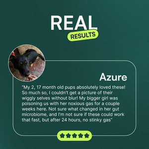 Customer testimonial about dog supplements with a photo of a black dog on a dark green background