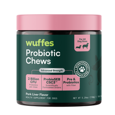 Daily Probiotic