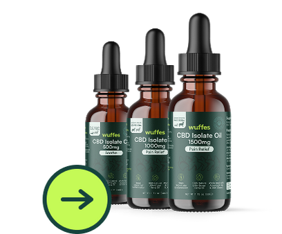 CBD Isolate Oil