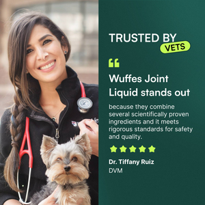 Female veterinarian smiling and holding a small dog beside a testimonial about joint health supplements.