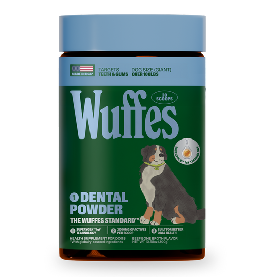 Container of dental powder supplement for large dogs to improve oral health and gums