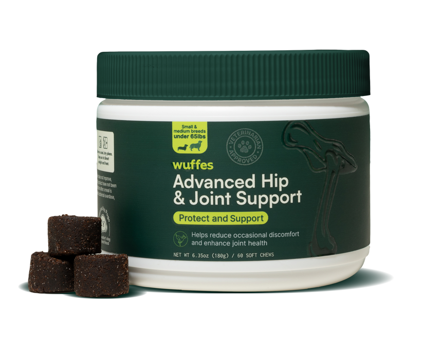 Advanced Hip & Joint Support for Small & Medium Breeds