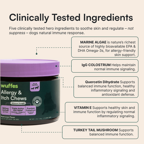 Jar of dog allergy chews with ingredient benefits for skin and immune support displayed