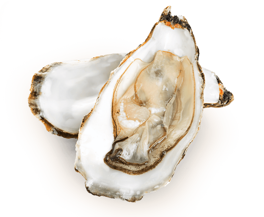 Glucosamine