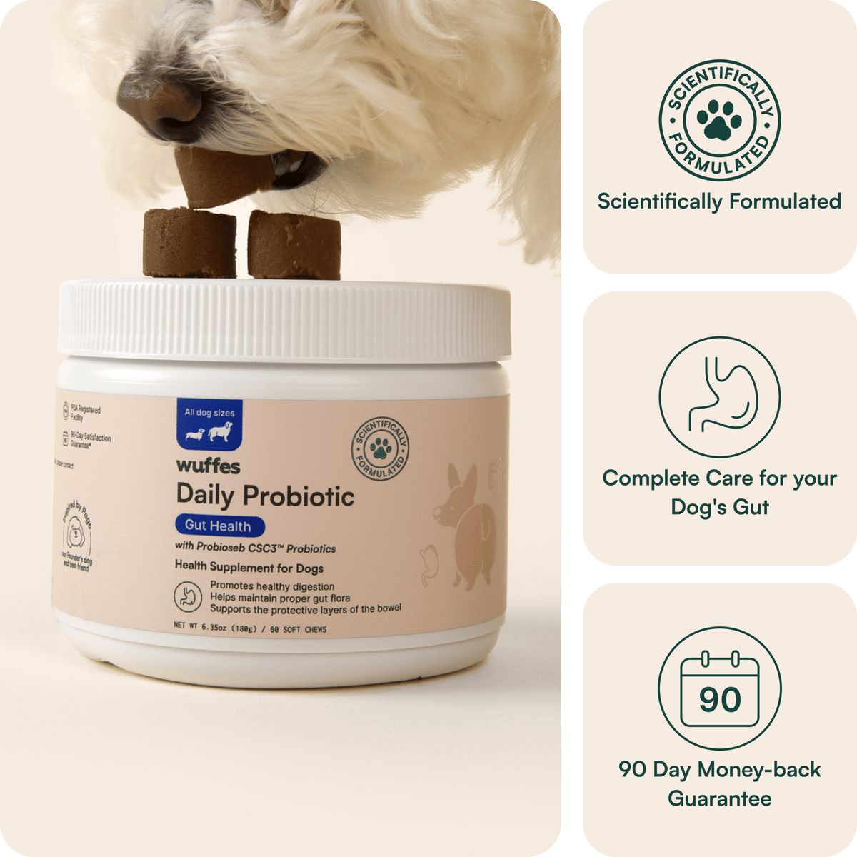 Should I Give My Dog Probiotics Every Day: Expert Insights
