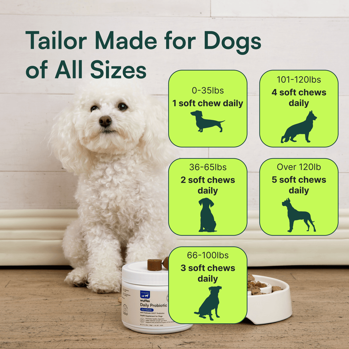 Should I Give My Dog Probiotics Every Day: Expert Insights