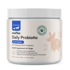 Daily Probiotic